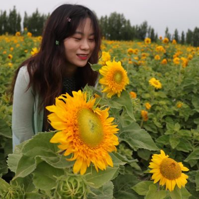 任雨菲